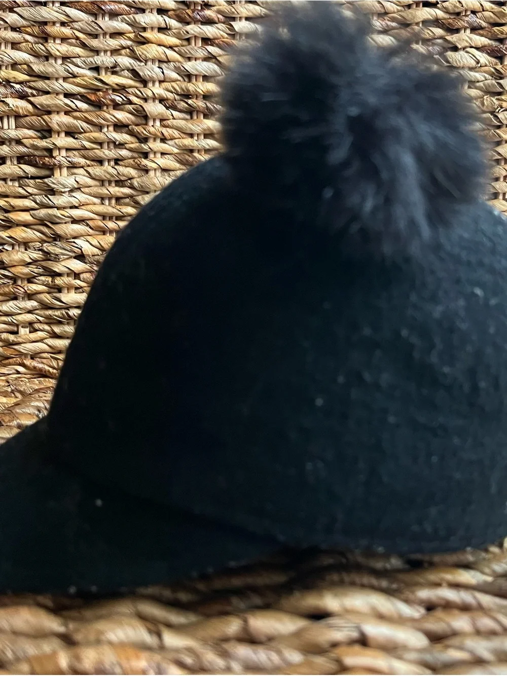 The Accessory Collective Double Pom Pom Hat